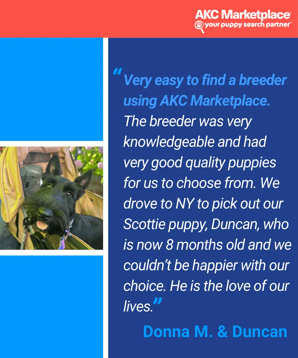 AKC Marketplace for Breeders