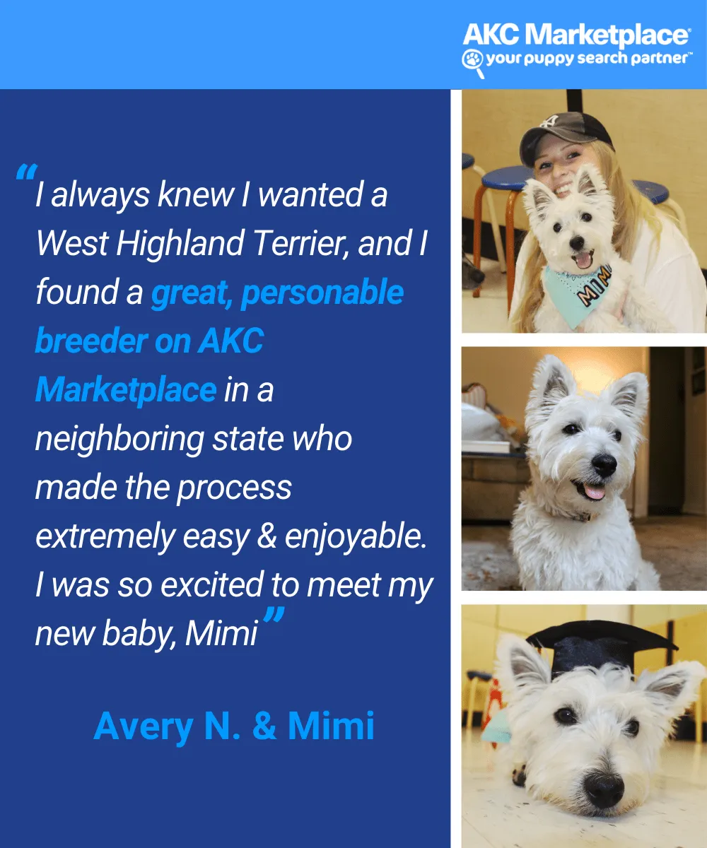 AKC Marketplace for Breeders