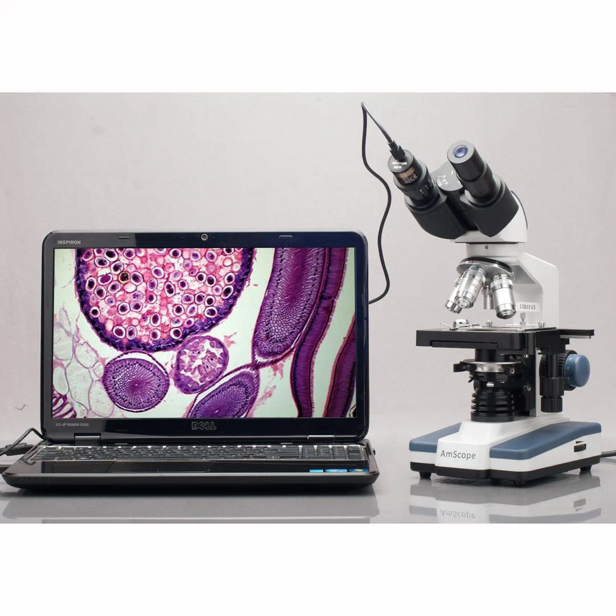 AmScope MD Series 0.3MP USB 2.0 Color CMOS Digital Eyepiece Microscope Camera