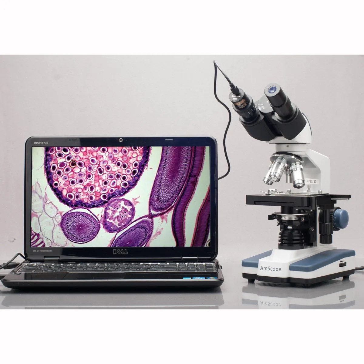 AmScope MD Series 8.3MP USB 2.0 Color CMOS Digital Eyepiece Microscope Camera