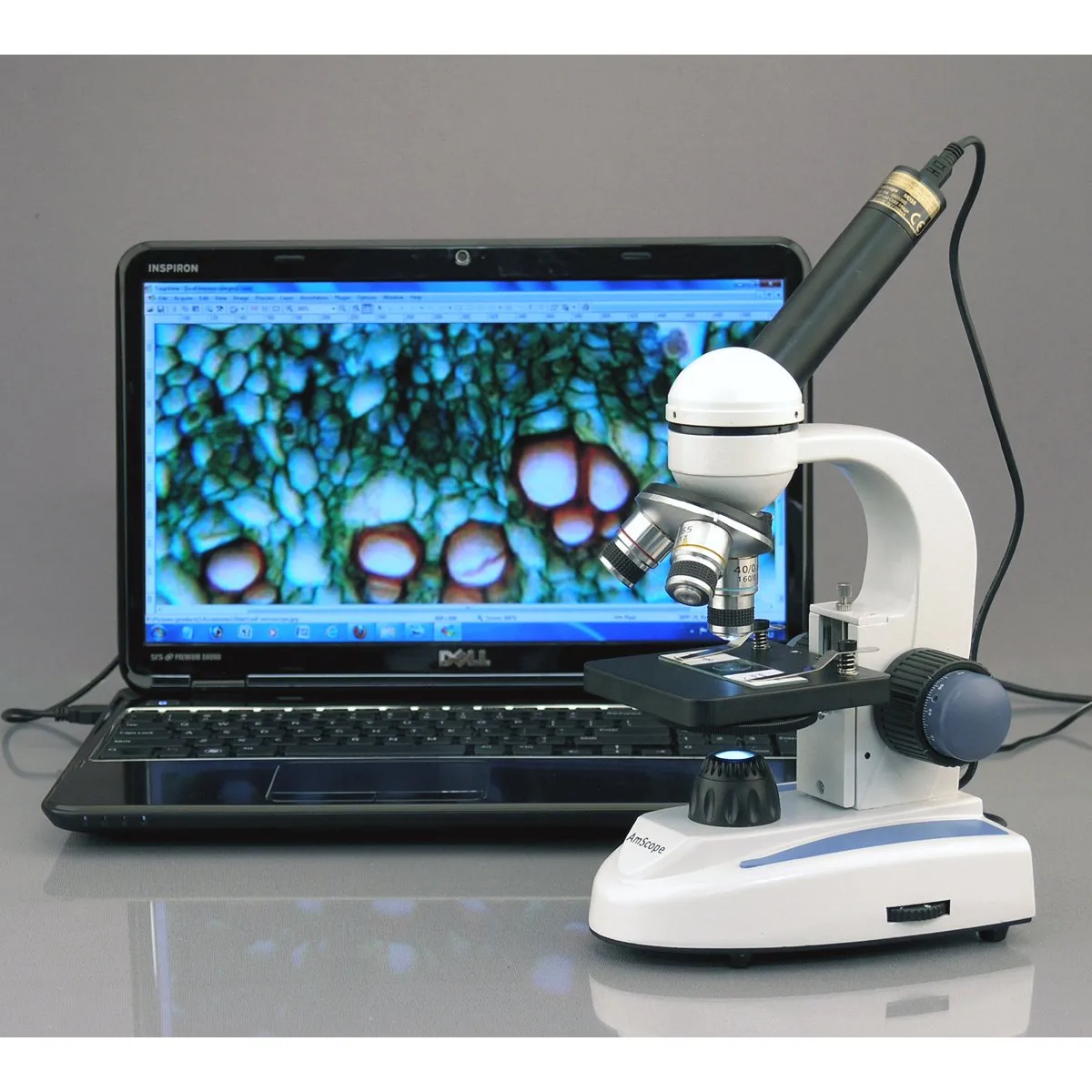 AmScope MD Series 8.3MP USB 2.0 Color CMOS Digital Eyepiece Microscope Camera
