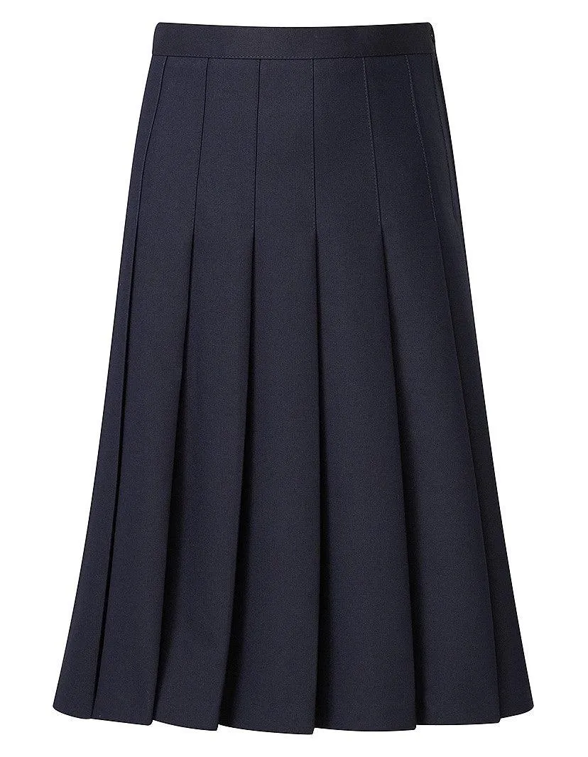 Aspire Pleated Skirt
