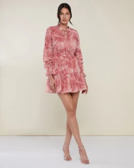 Long Sleeve Mini Dress