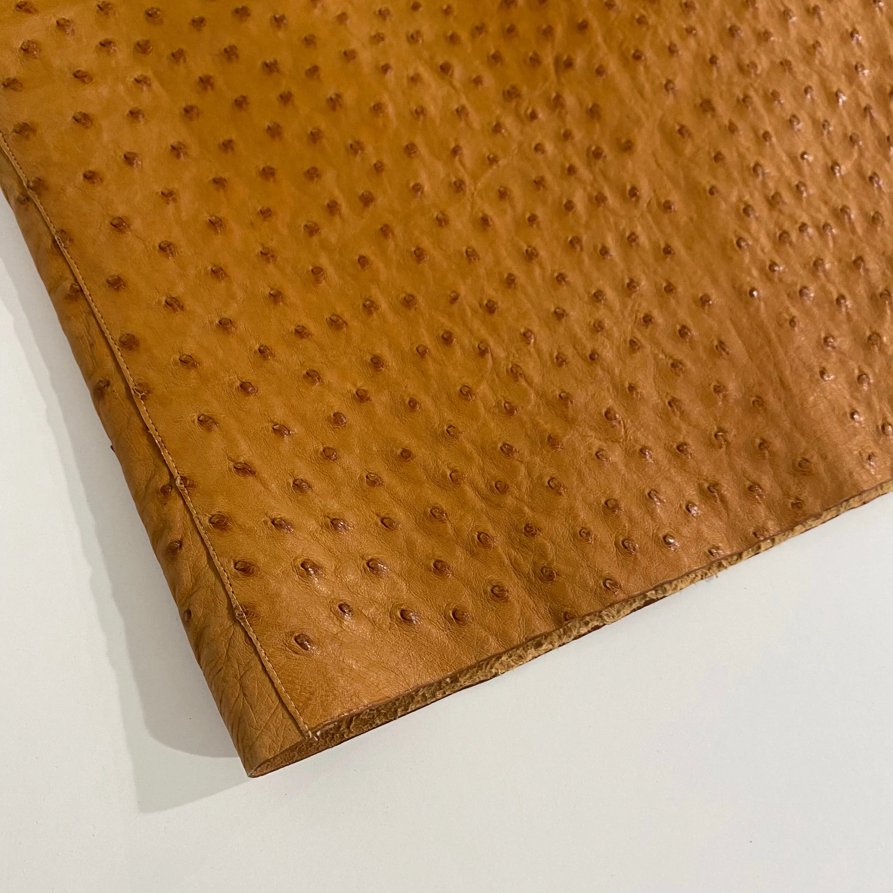 Prada Ostrich Skirt